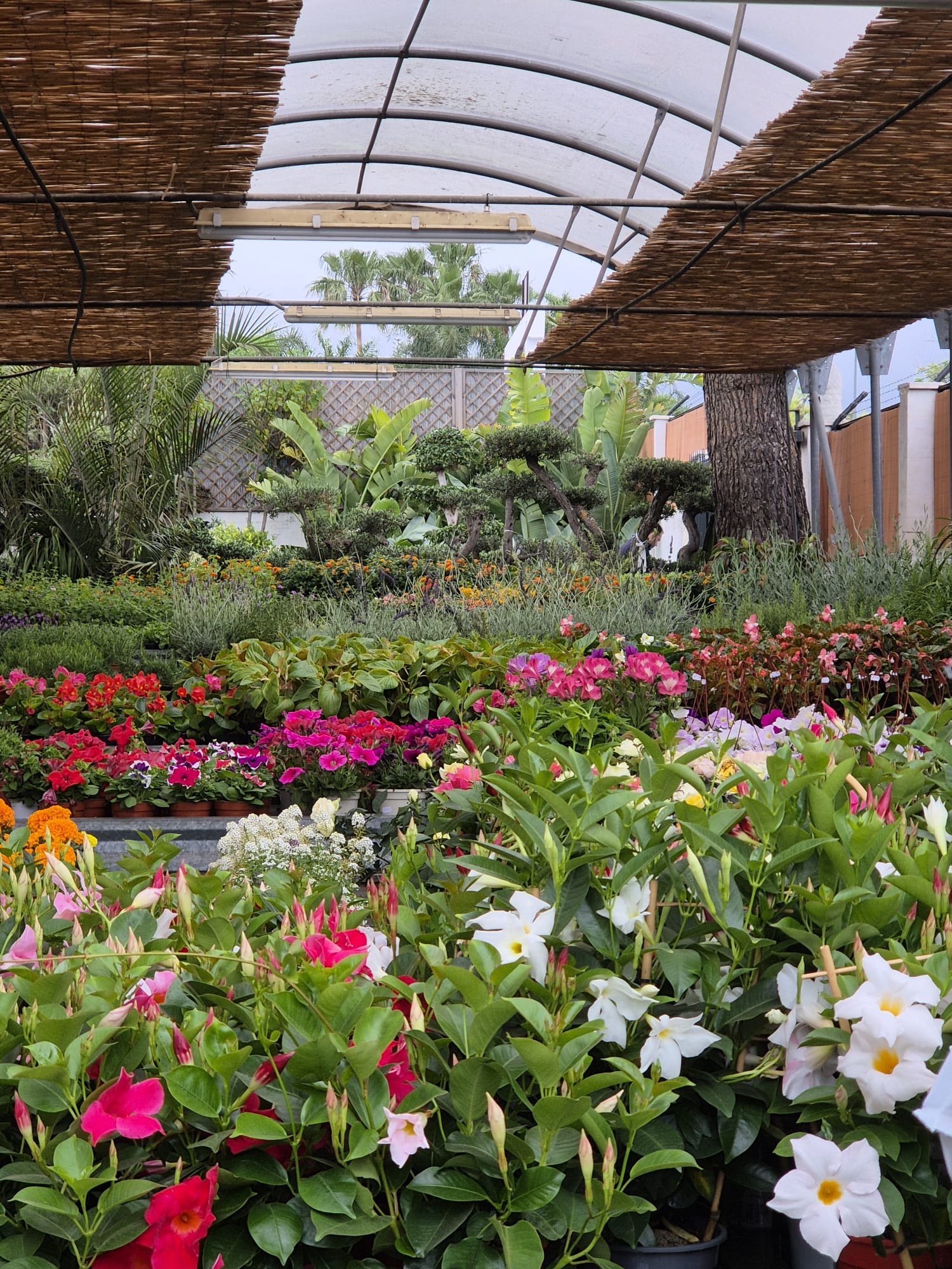 Ceramic and plant display at Garden Center Linda Vista Marbella